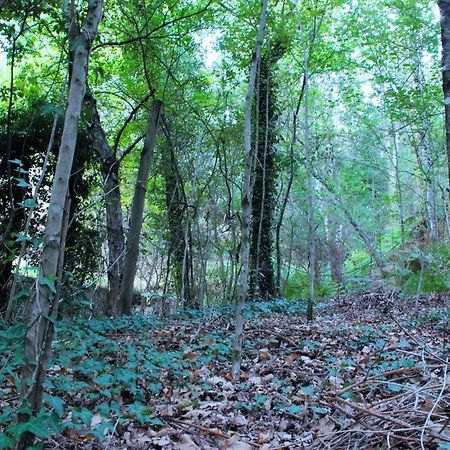Eco Camping Juncal Otel Marco de Canavezes Dış mekan fotoğraf