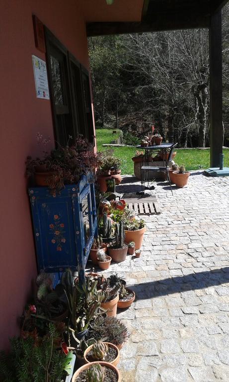 Eco Camping Juncal Otel Marco de Canavezes Dış mekan fotoğraf