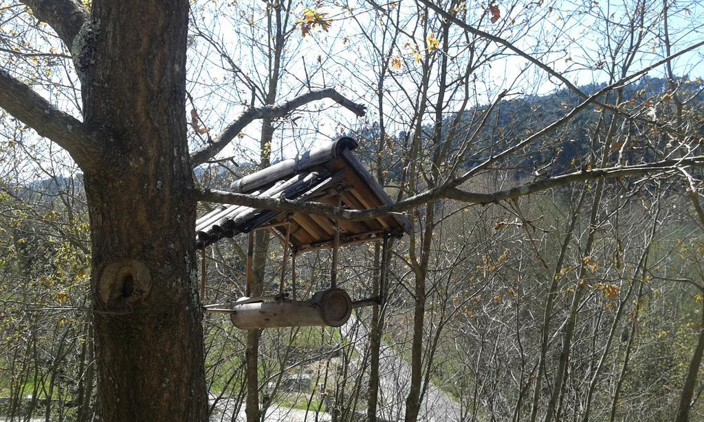 Eco Camping Juncal Otel Marco de Canavezes Dış mekan fotoğraf