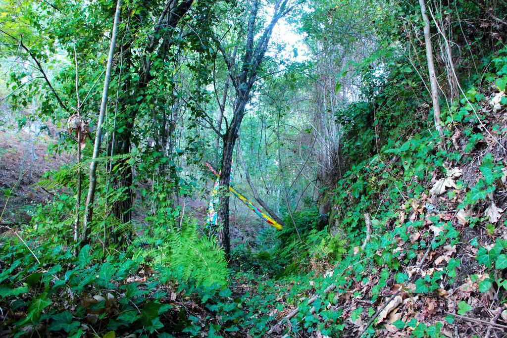 Eco Camping Juncal Otel Marco de Canavezes Dış mekan fotoğraf