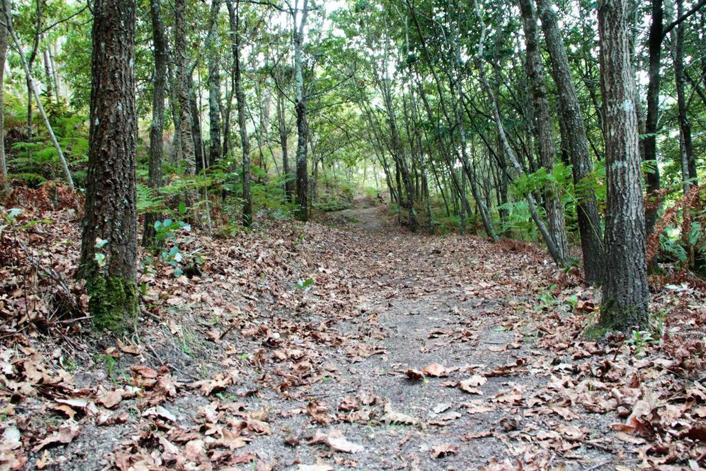 Eco Camping Juncal Otel Marco de Canavezes Dış mekan fotoğraf