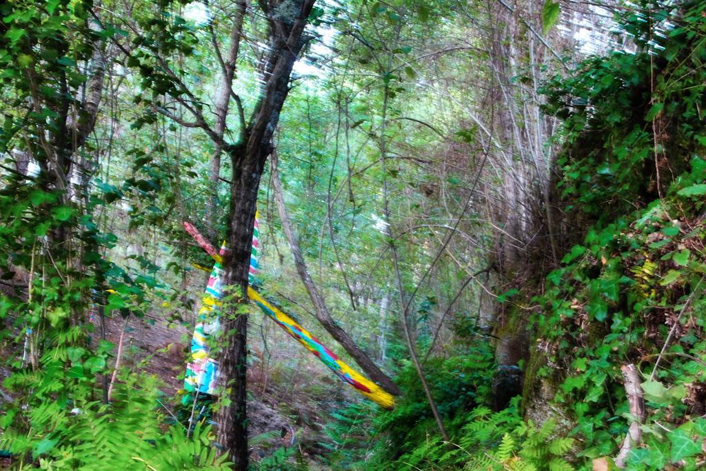 Eco Camping Juncal Otel Marco de Canavezes Dış mekan fotoğraf
